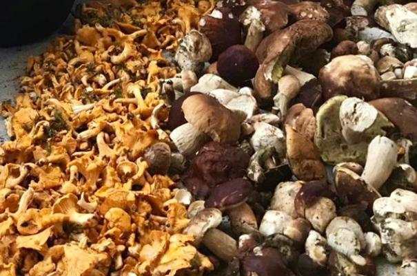 فندق Feielhof Krakaudorf المظهر الخارجي الصورة