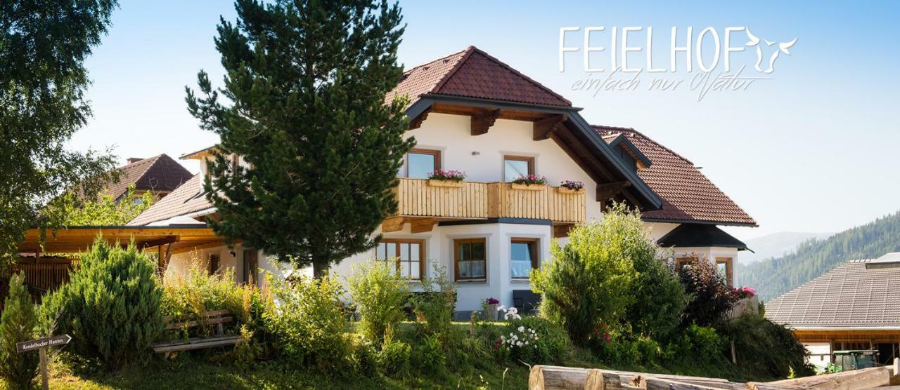 فندق Feielhof Krakaudorf المظهر الخارجي الصورة